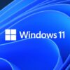 Operating System Installation – Windows 11 - Image 2